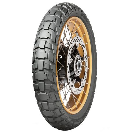 _Dunlop TRX Raid M+S TL Tire | 637603-P | Greenland MX_